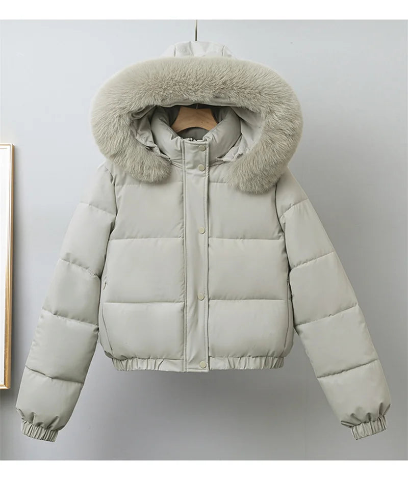 Averna Short Padded Fur-Collar Jacket