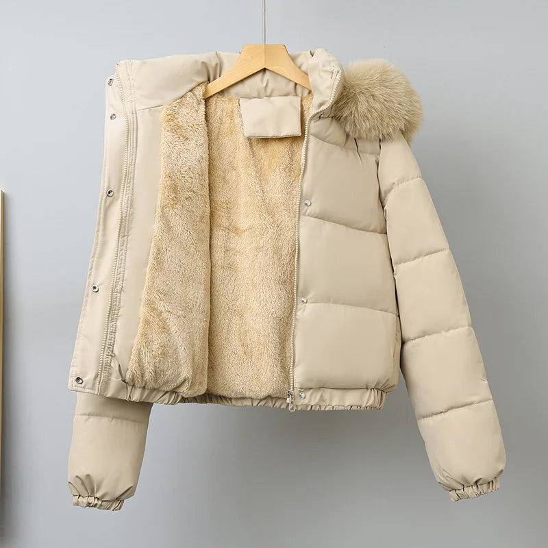 Averna Short Padded Fur-Collar Jacket